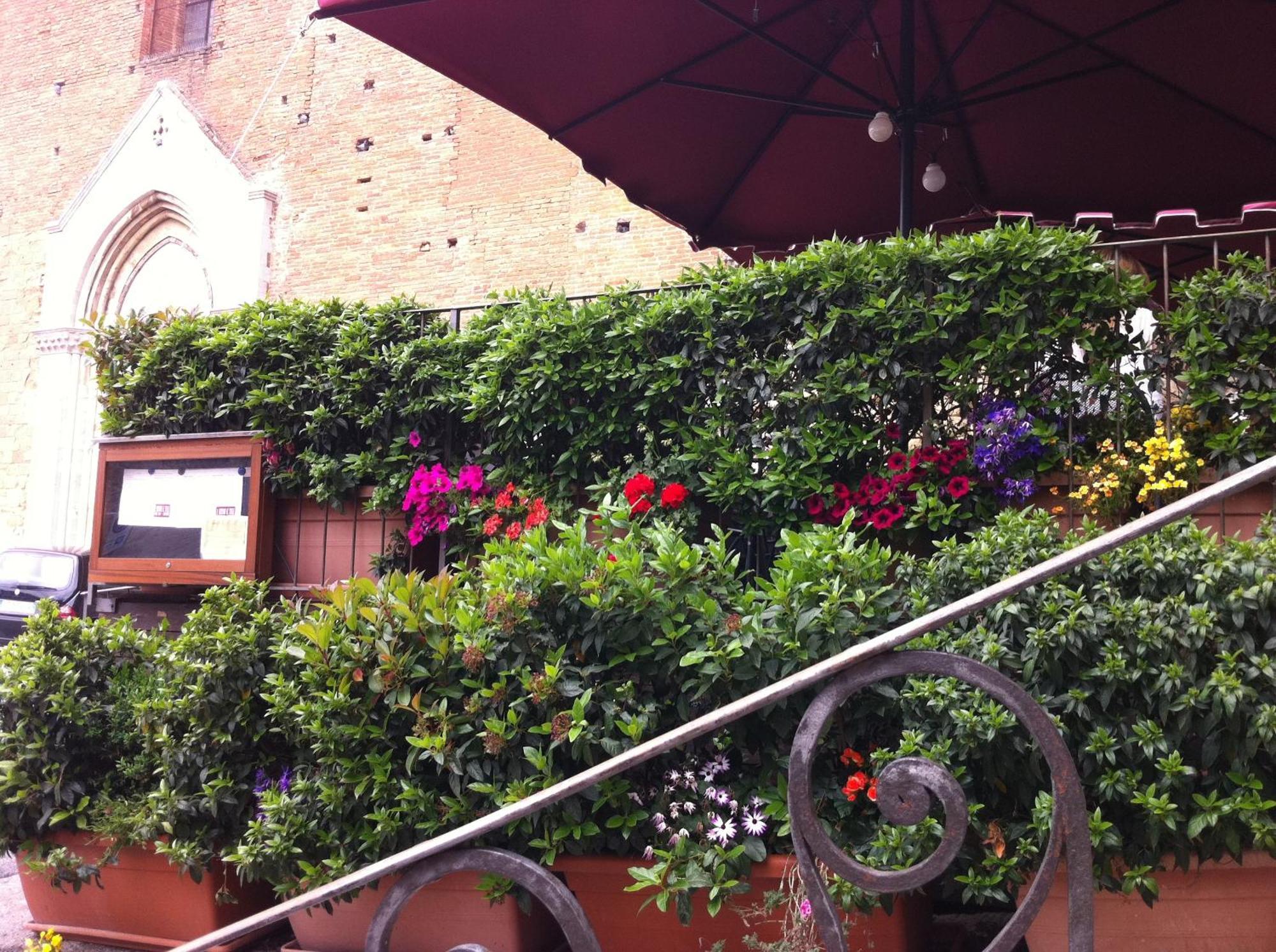 La Locanda Di San Francesco Montepulciano Stazione Dış mekan fotoğraf