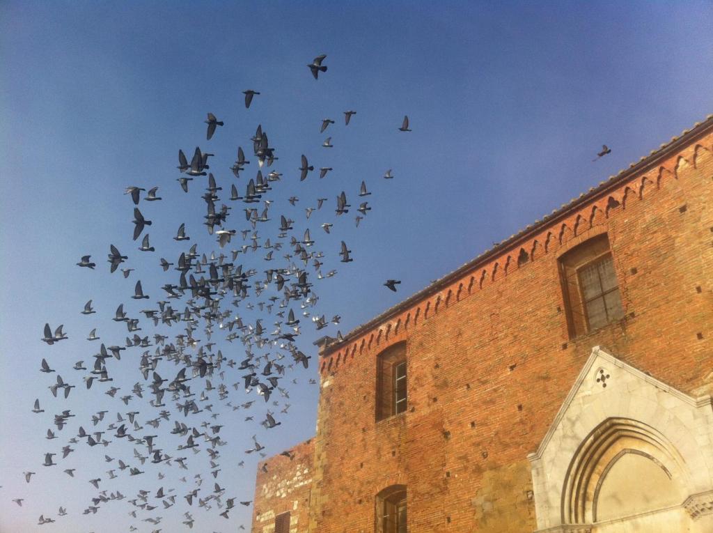 La Locanda Di San Francesco Montepulciano Stazione Oda fotoğraf